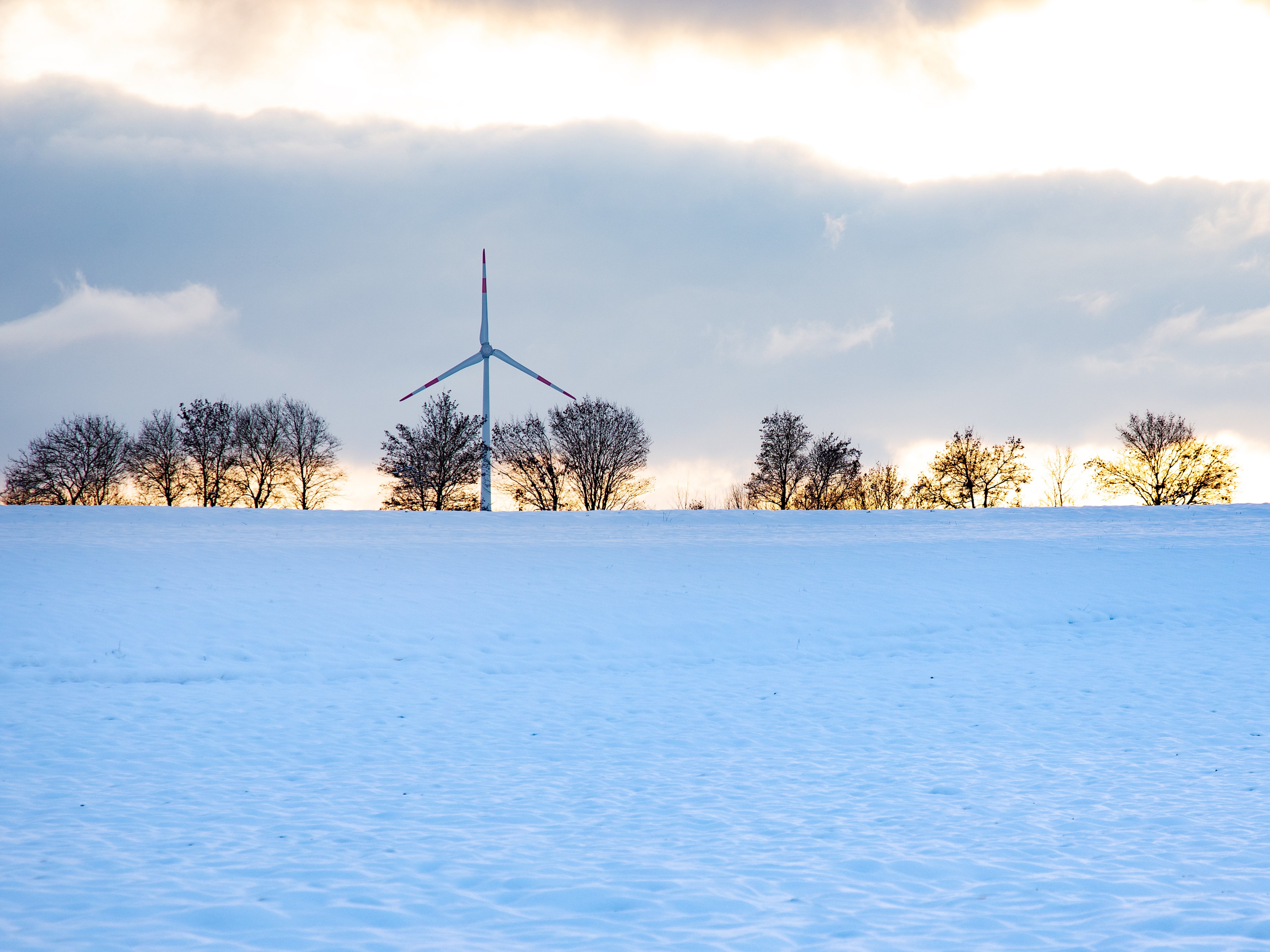 Windpark im Winter